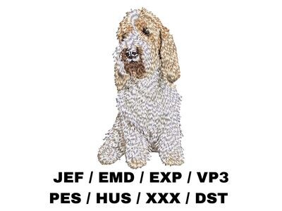Grand Basset Griffon Vendéen - Full Body