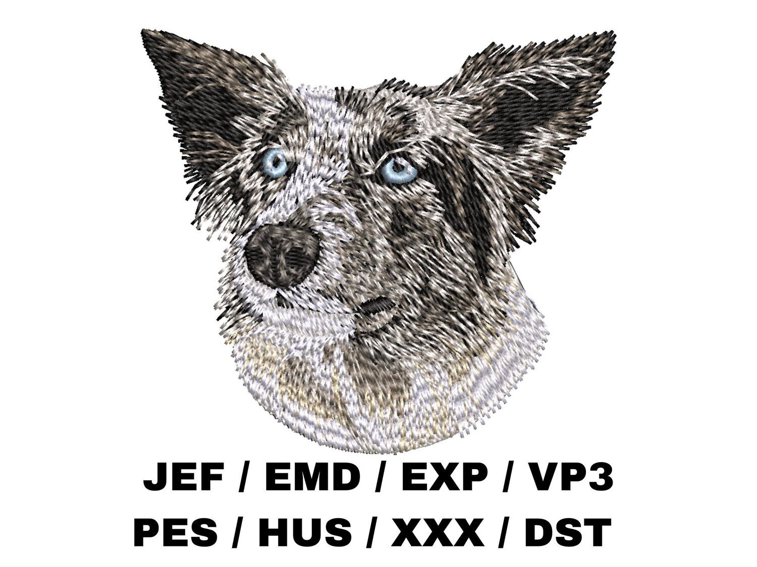 Border Collie 3