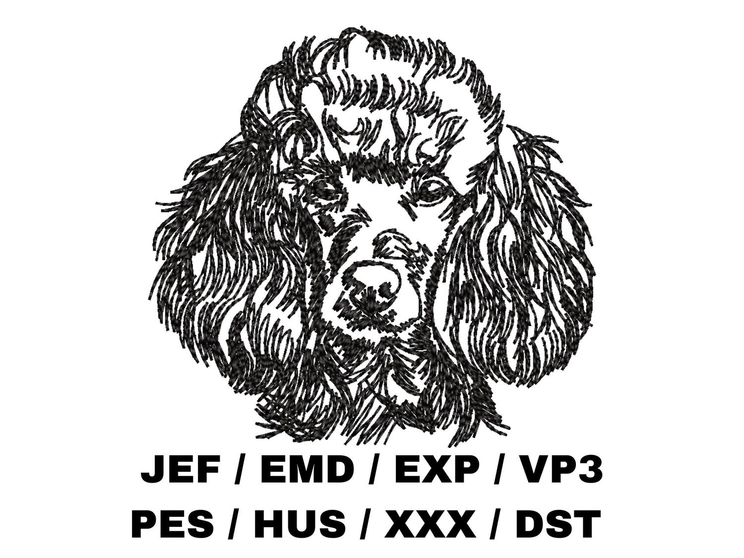 Poodle Sketch