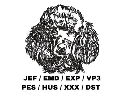 Poodle Sketch