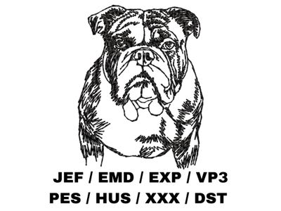 English Bulldog Sketch Effect