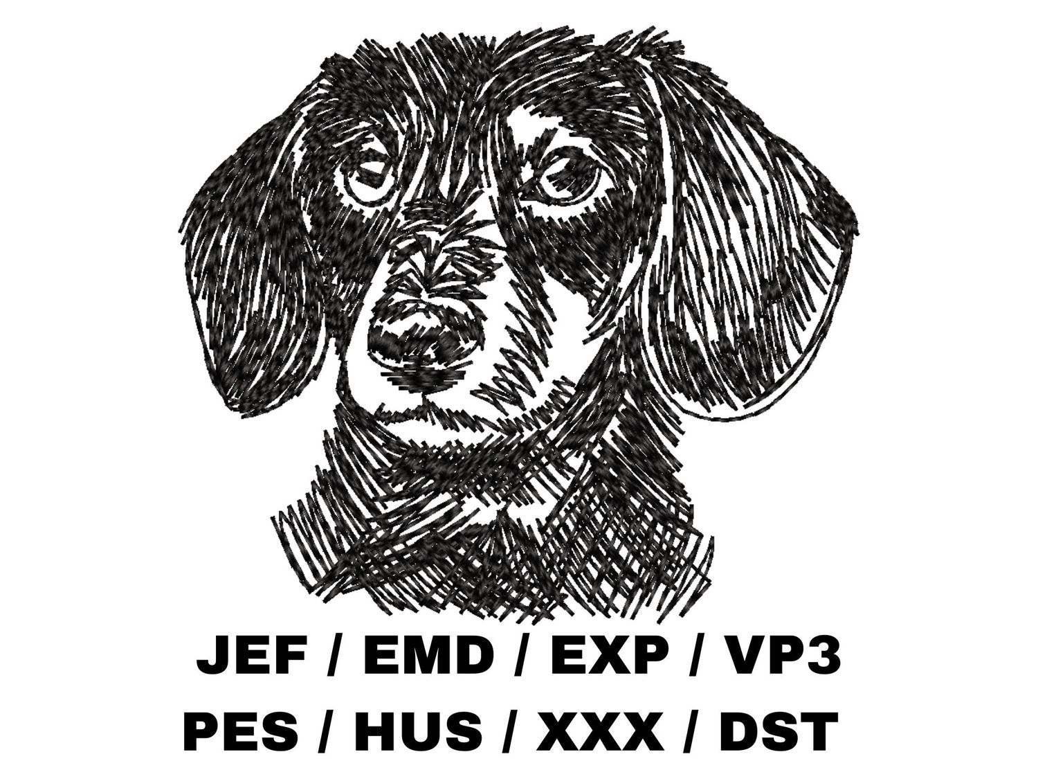 Dachshund Sketch