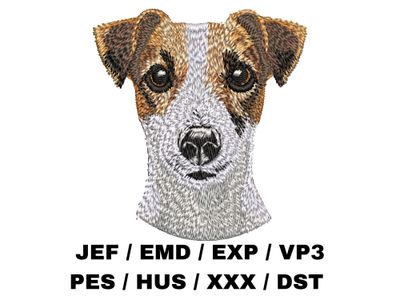 Jack Russell Terrier