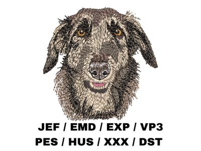 Scottish Deerhound