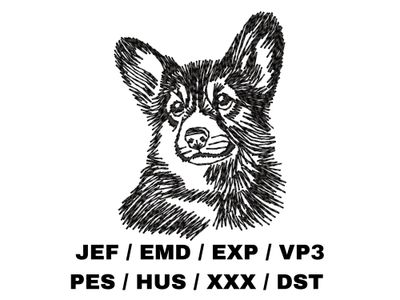 Pembroke Welsh Corgi Sketch