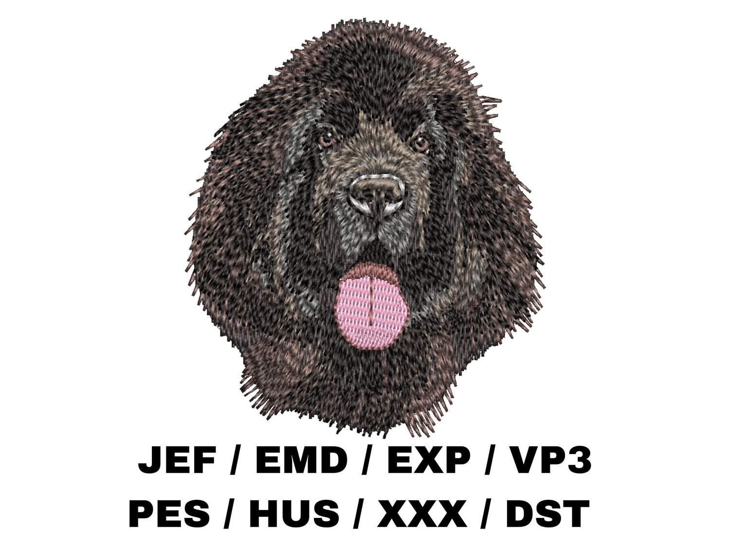 Newfoundland 2