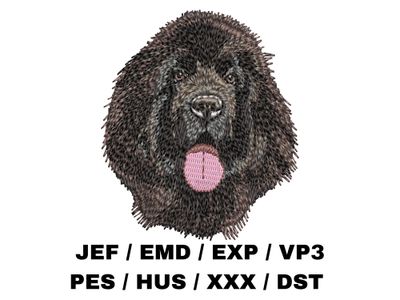 Newfoundland 2