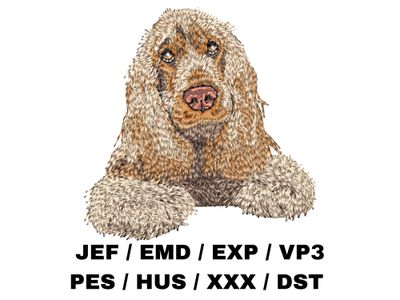 English Cocker Spaniel 4