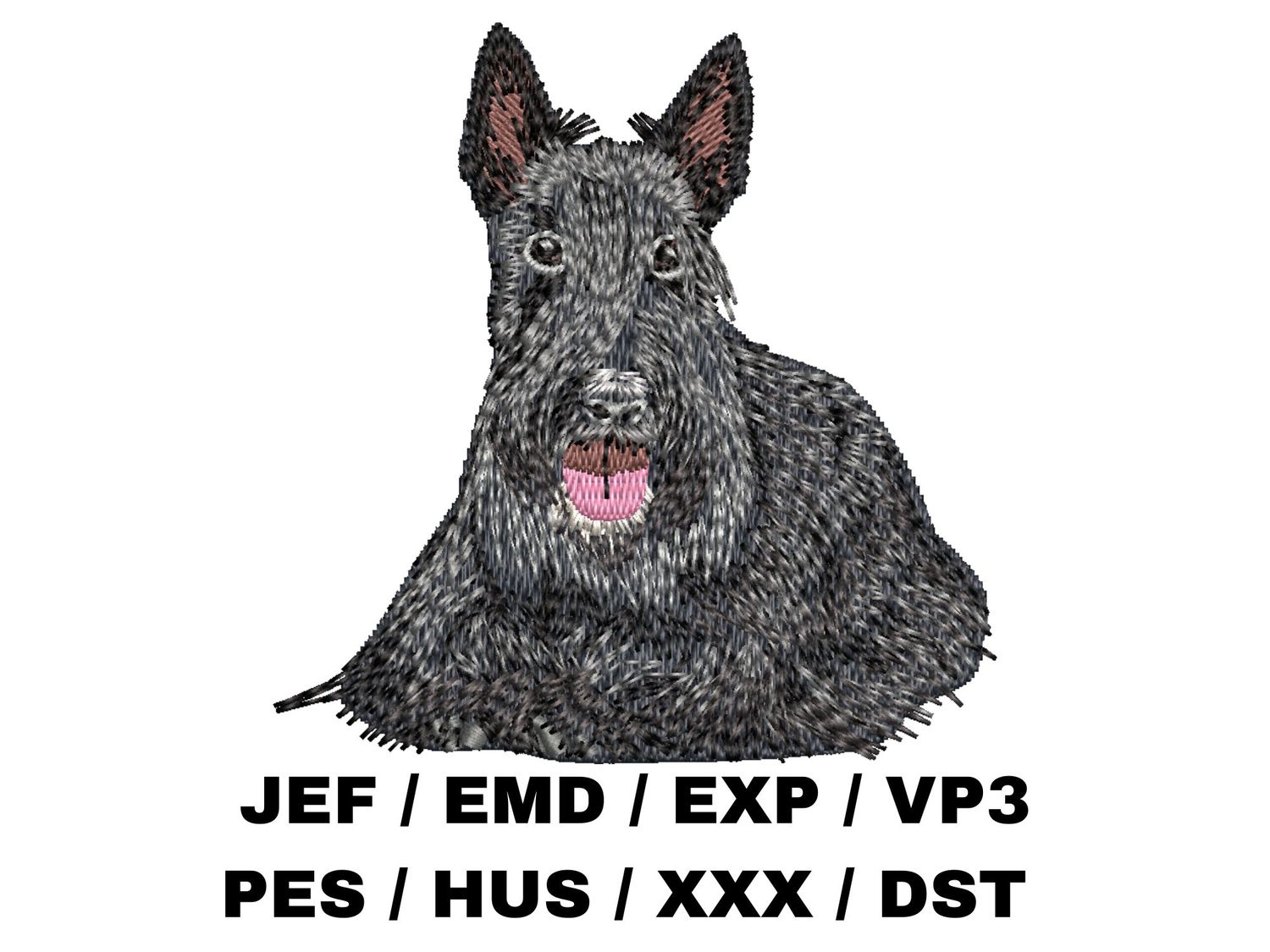Scottish Terrier 3 - Full Body