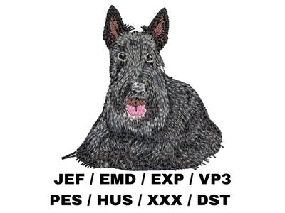 Scottish Terrier 3 - Full Body