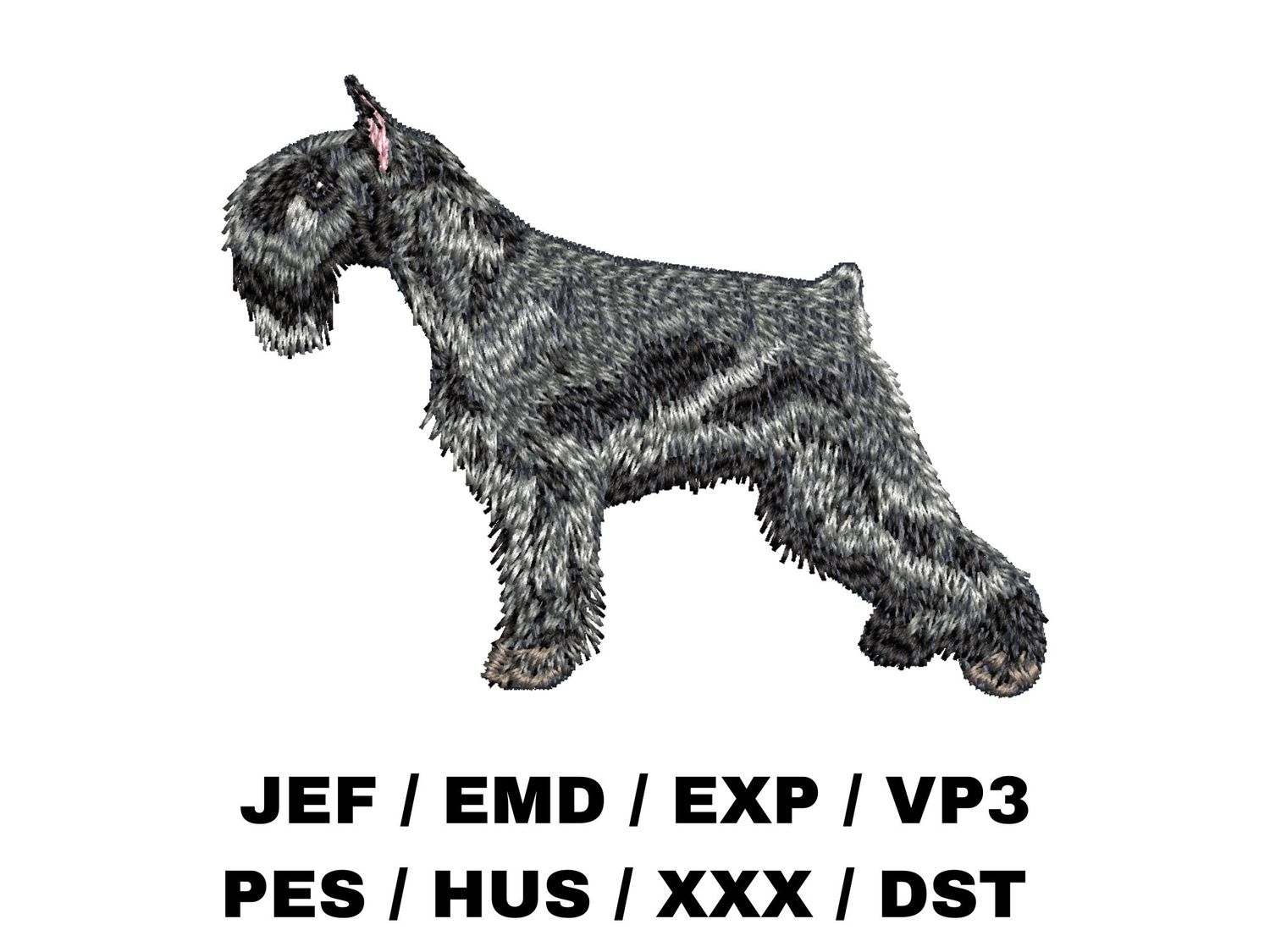 Miniature Schnauzer 4 - Full Body