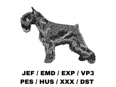 Miniature Schnauzer 4 - Full Body