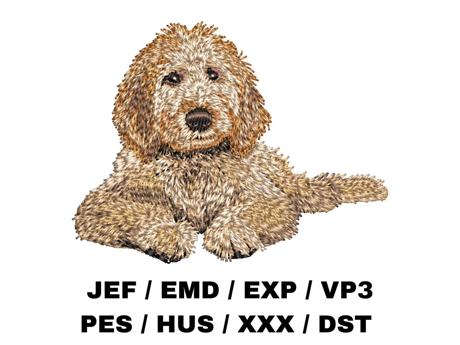 Goldendoodle 6 - Full Body
