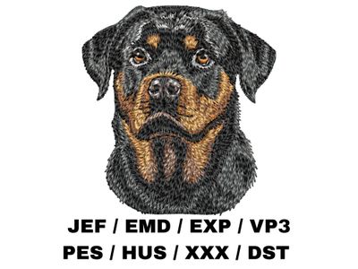 Rottweiler 7