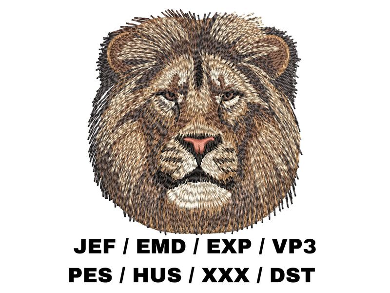 African Lion
