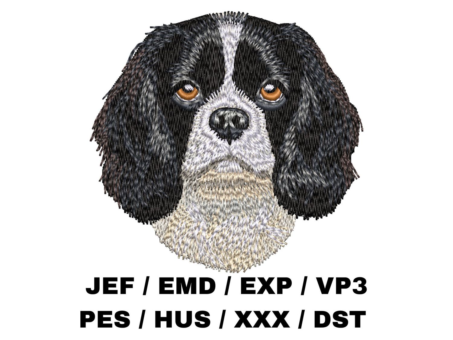 Cavalier King Charles Spaniel 3