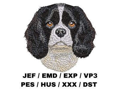 Cavalier King Charles Spaniel 3