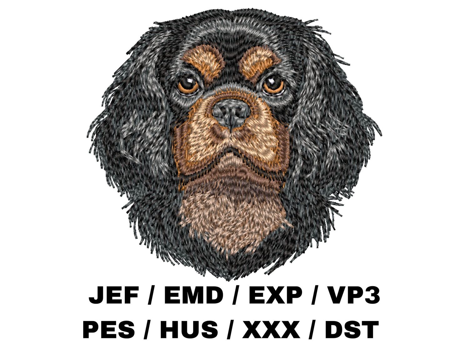 Cavalier King Charles Spaniel 4