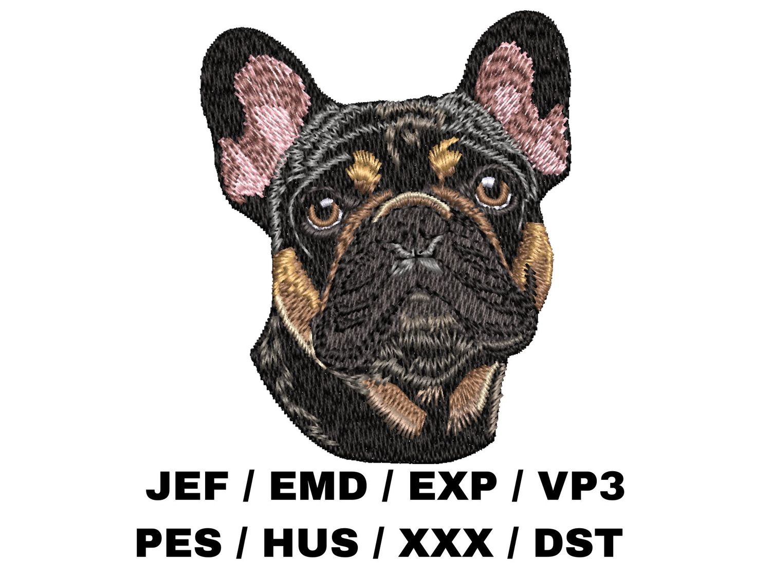 French Bulldog 9