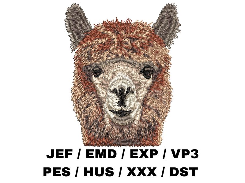 Alpaca