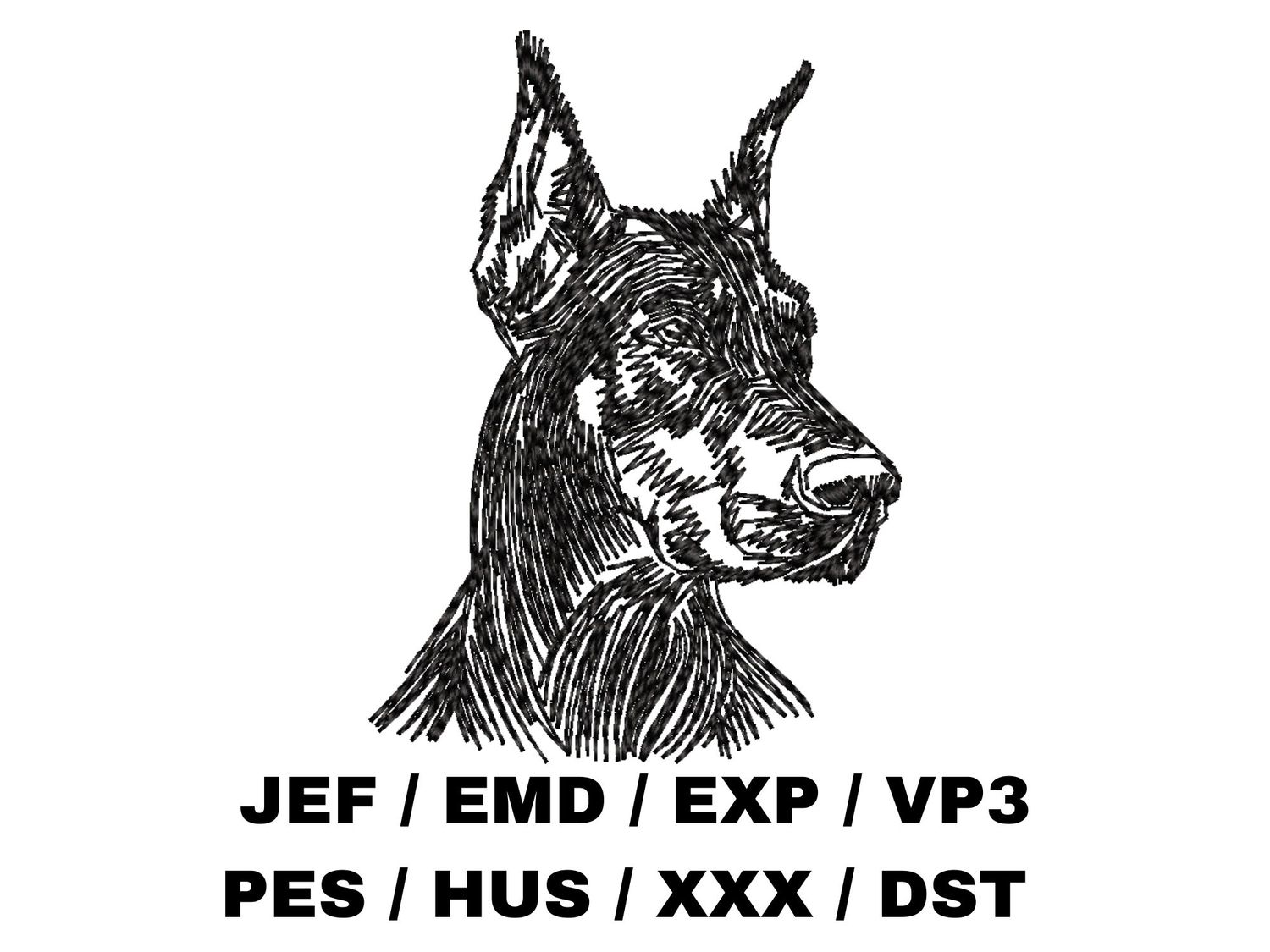 Doberman Pinscher Sketch