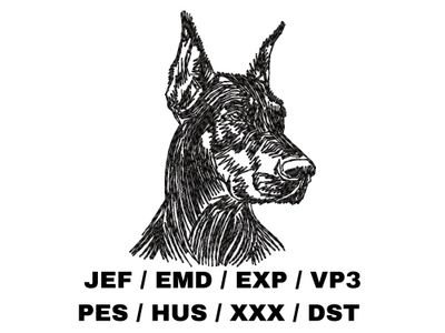 Doberman Pinscher Sketch