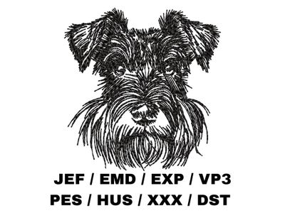 Miniature Schnauzer Sketch