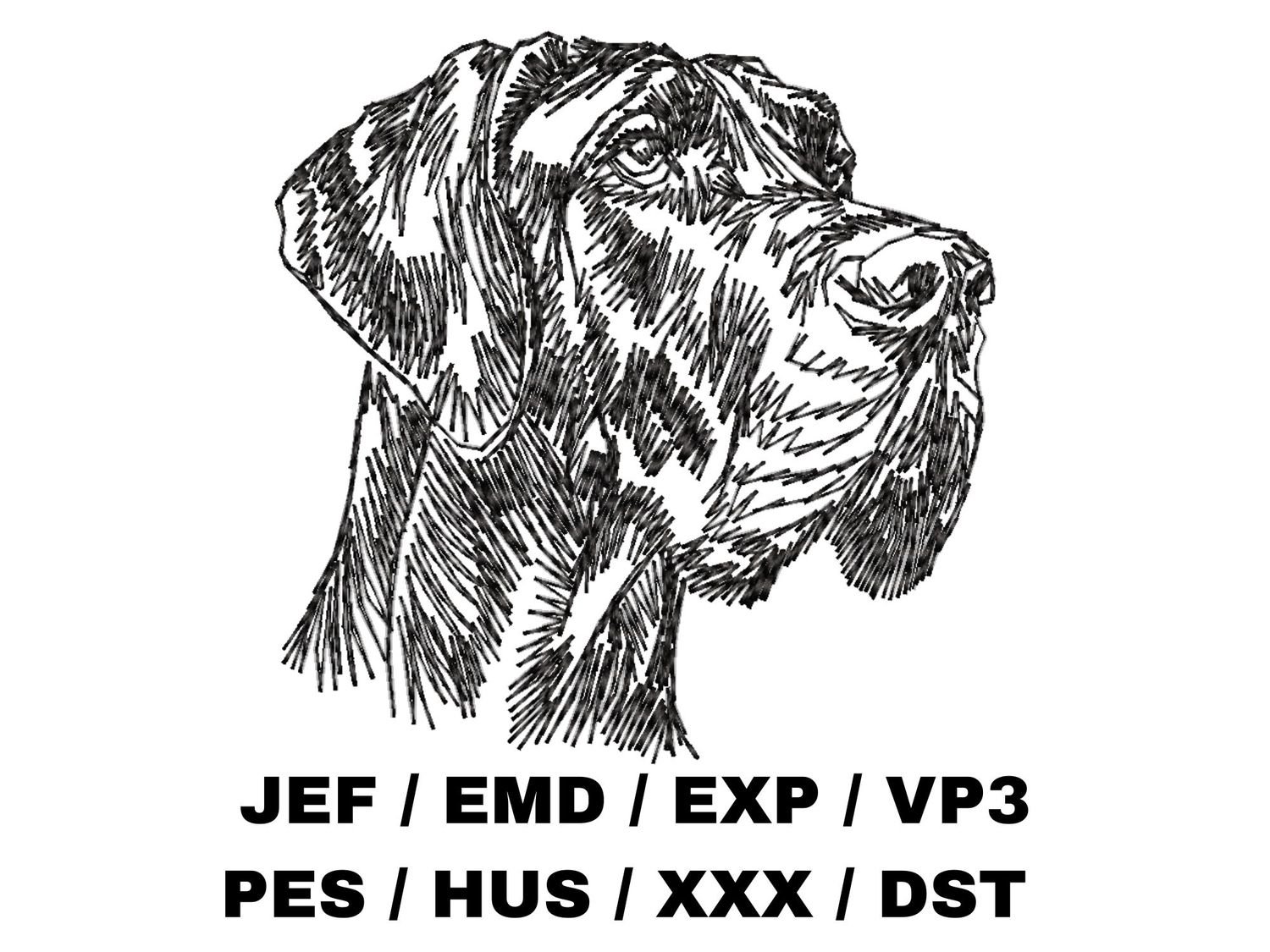 Great Dane Sketch