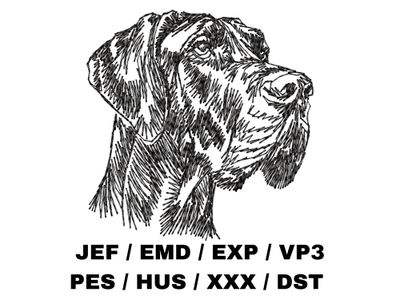 Great Dane Sketch