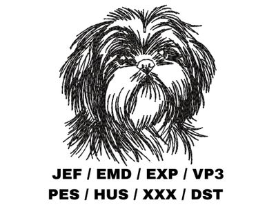 Shih Tzu Sketch