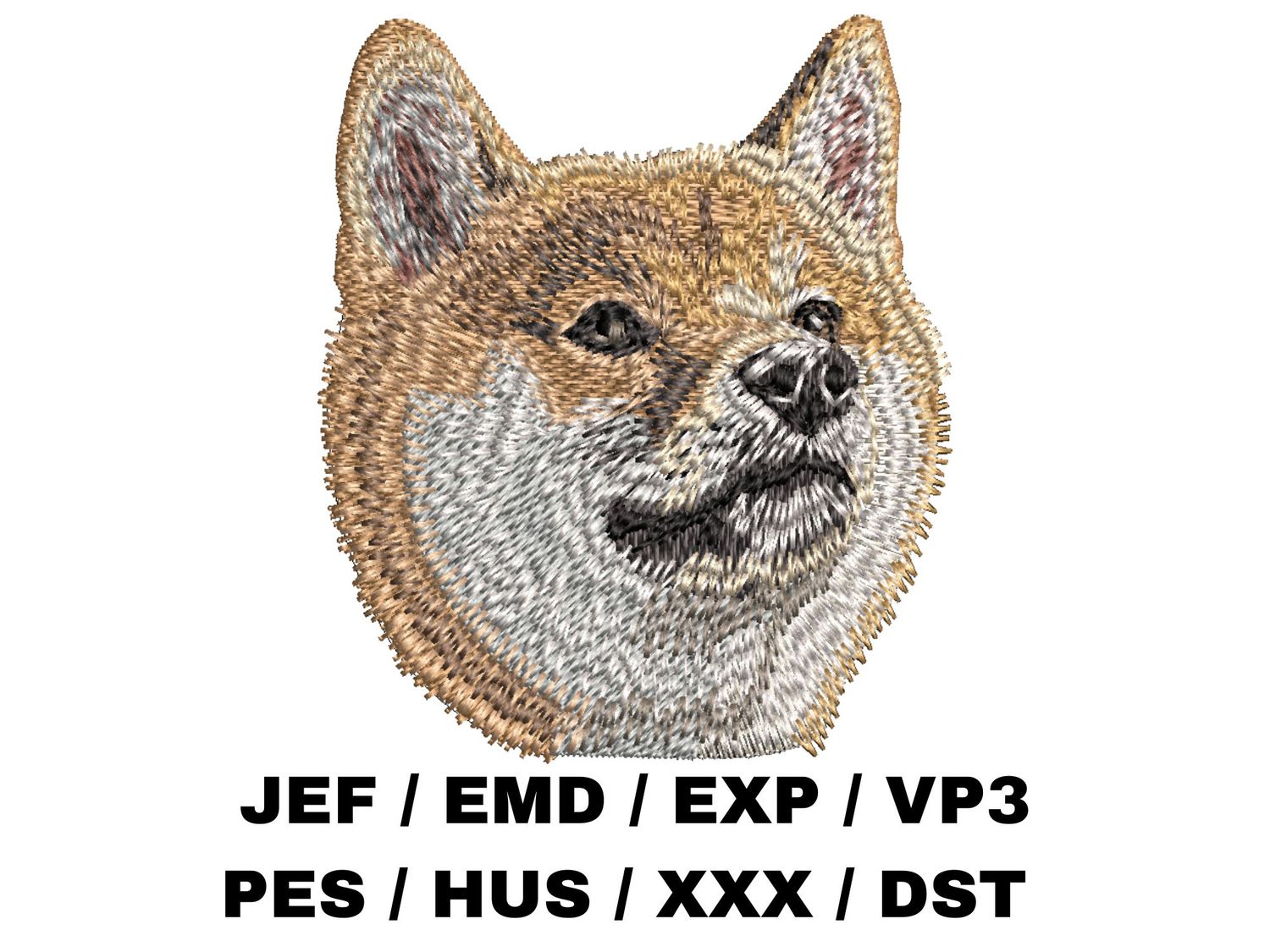 Shiba Inu 2