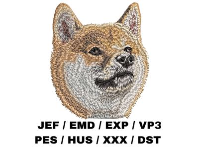 Shiba Inu 2