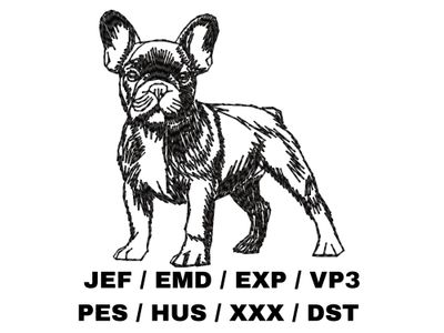 French Bulldog Sketch - Full Body