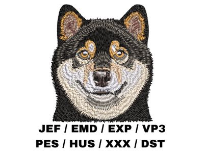 Shiba Inu 3