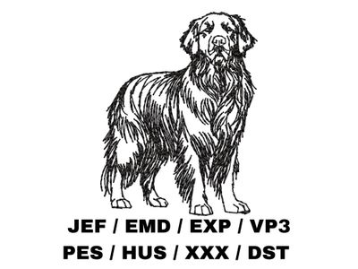 Golden Retriever Sketch - Full Body