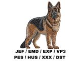 German Shepherd 11 - Full Body