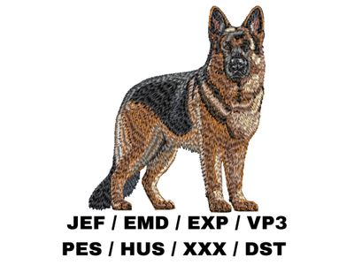 German Shepherd 11 - Full Body