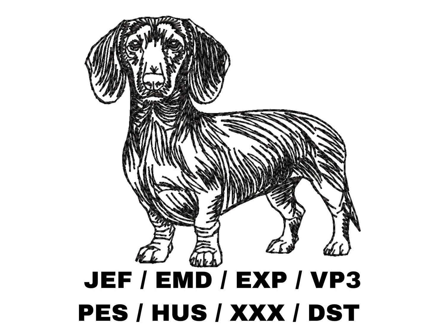Dachshund Outline Sketch - Full Body