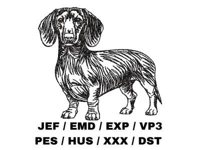 Dachshund Outline Sketch - Full Body