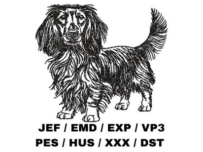 Longhaired Dachshund Outline Sketch - Full Body