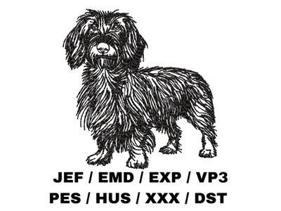 Wirehaired Dachshund Outline Sketch - Full Body