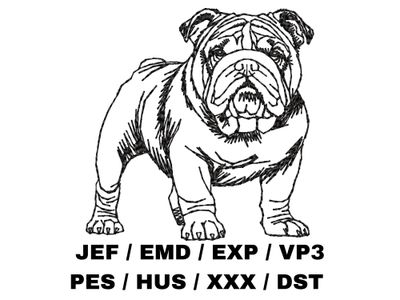 Bulldog Outline Sketch - Full Body