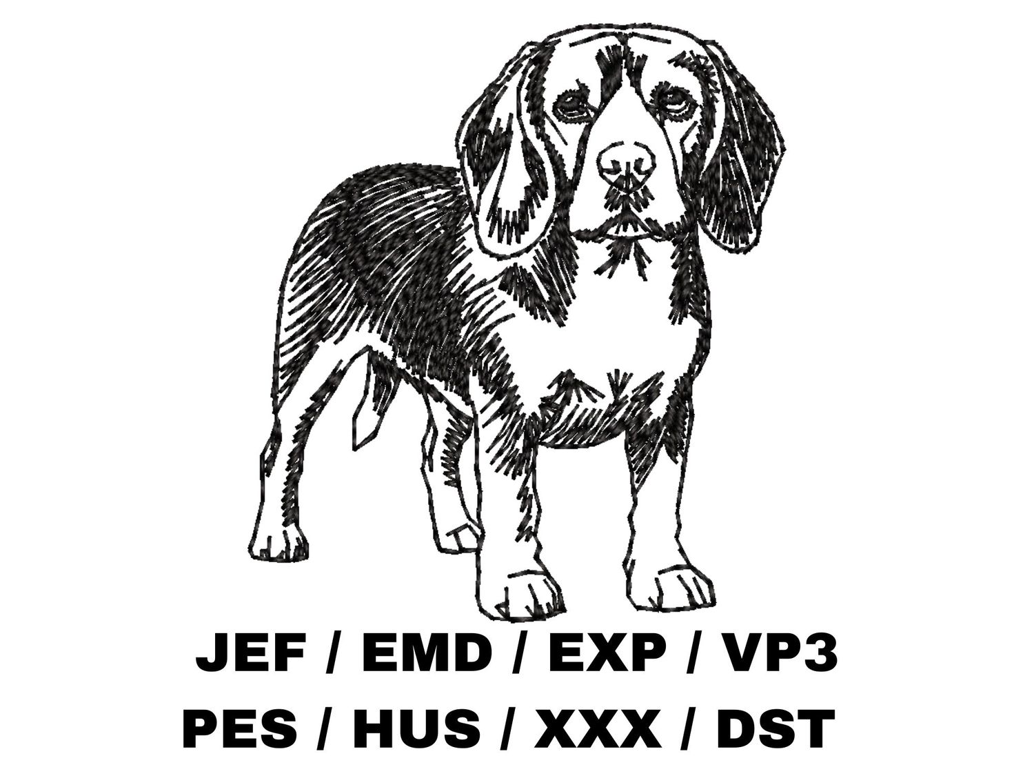 Beagle Outline Sketch - Full Body