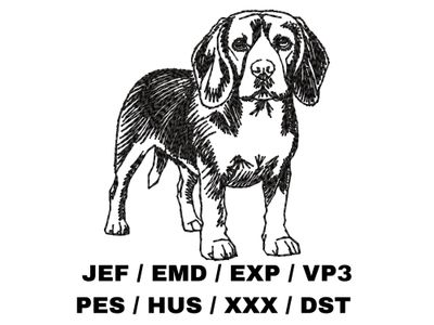 Beagle Outline Sketch - Full Body