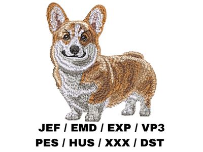 Pembroke Welsh Corgi 4 - Full Body
