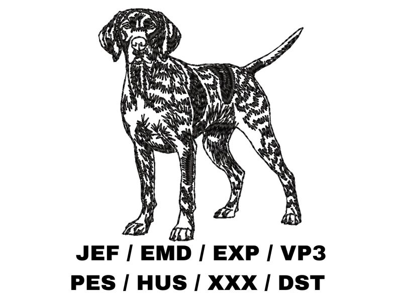 German Shorthaired Pointer Outline Sketch - Full Body