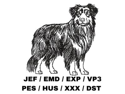 Australian Shepherd Outline Sketch - Full Body