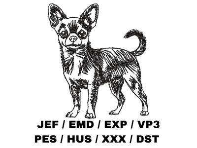 Chihuahua Outline Sketch - Full Body
