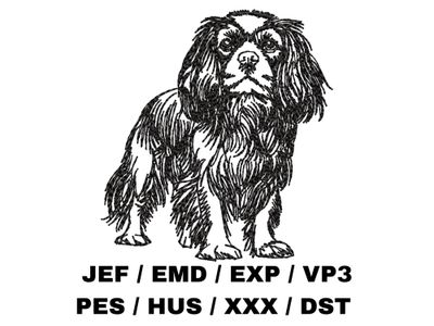 Cavalier King Charles Spaniel Outline Sketch - Full Body