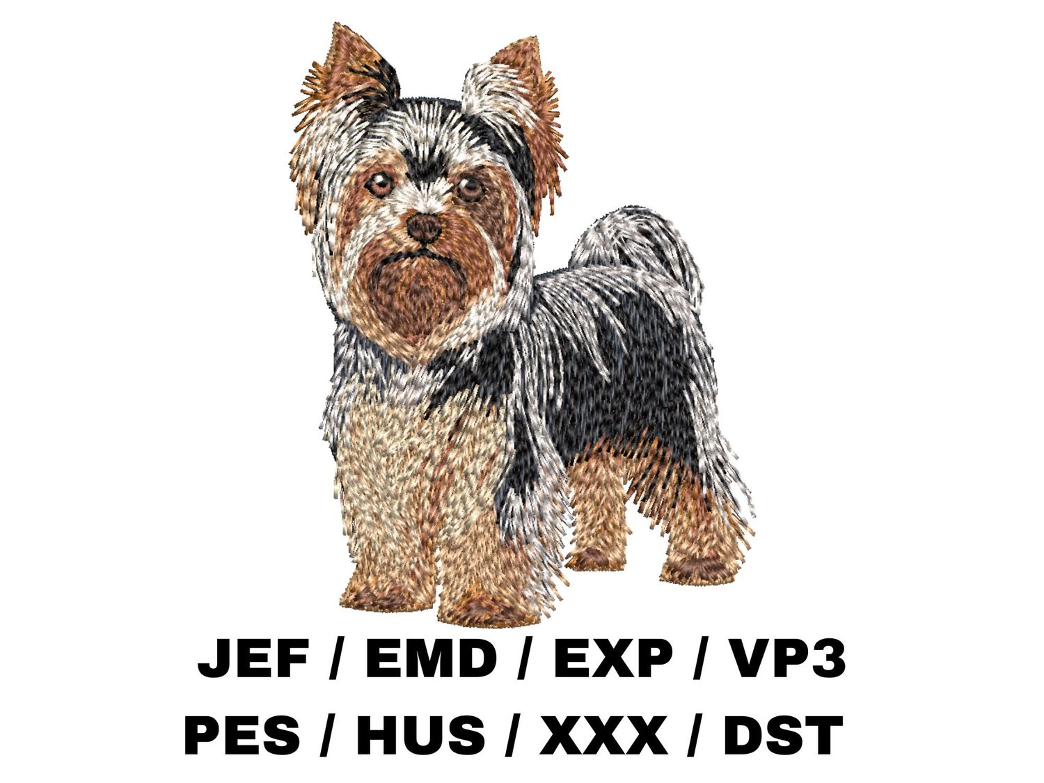 Yorkshire Terrier 6 - Full Body